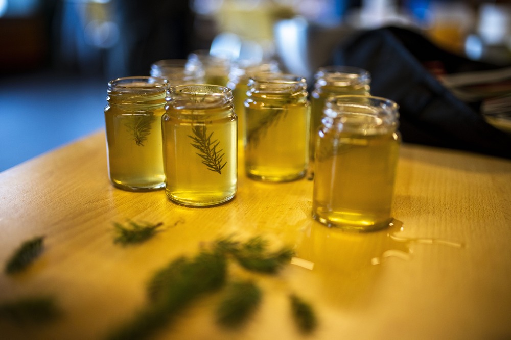 Les vertus de nos forets